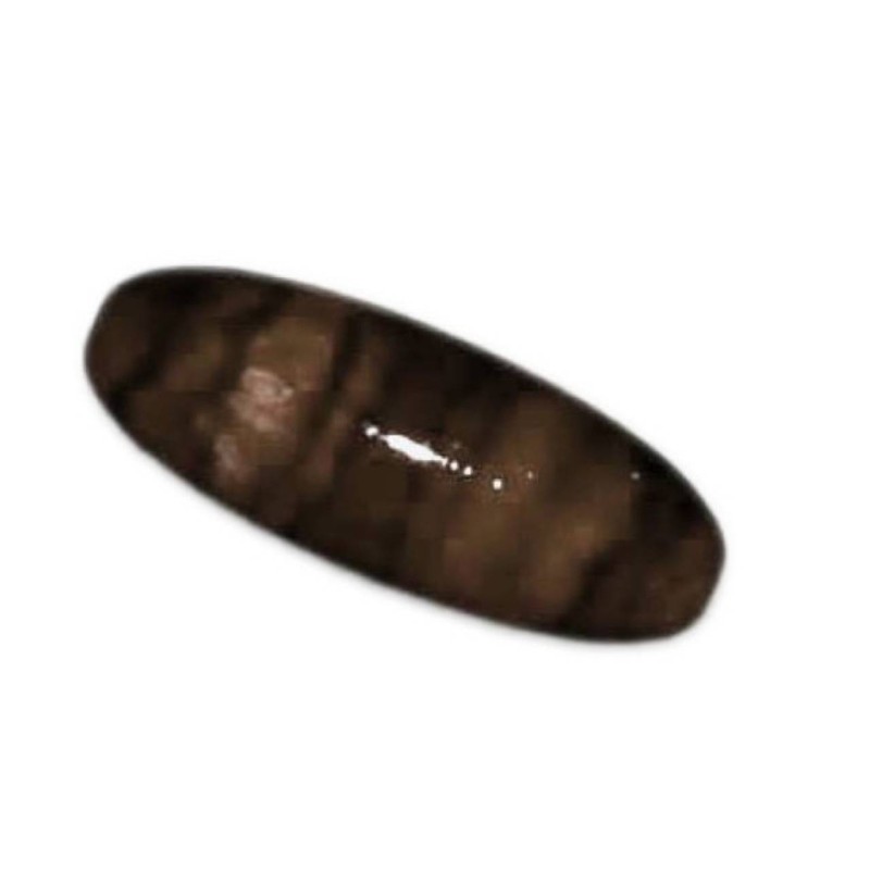 Kostibas 3897-104K, Χάντρες, Ακρυλικό, Καφέ