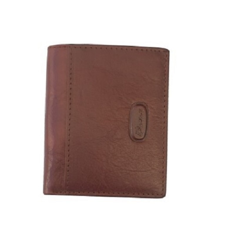 Hansson 6519, Καρτοθήκη, Δέρμα, Καφέ 