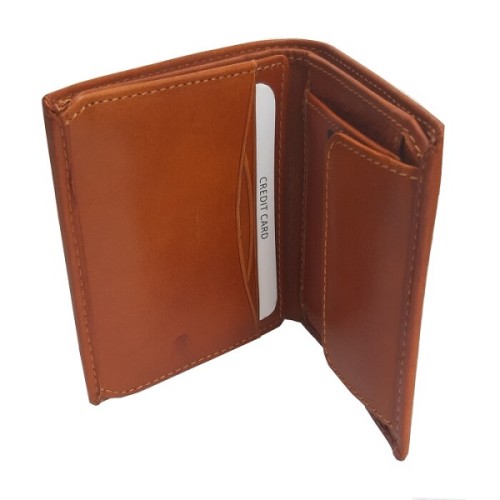 Hansson 6517, Δέρμα, Ταμπά 