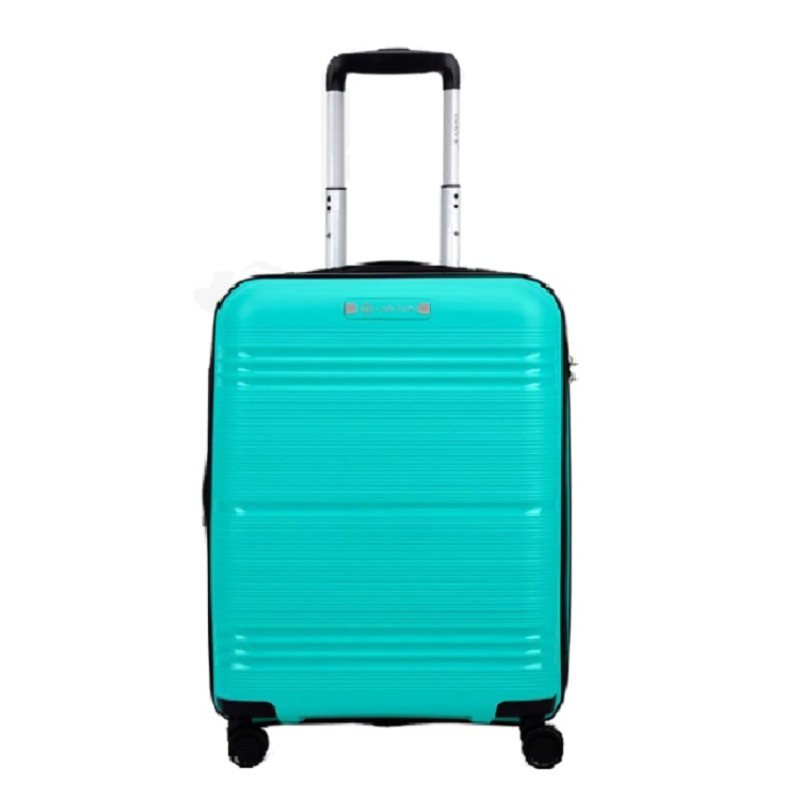 Carlton FOCPLB65TRQ Focus, Σκληρή, Μεσαία, Τιρκουάζ