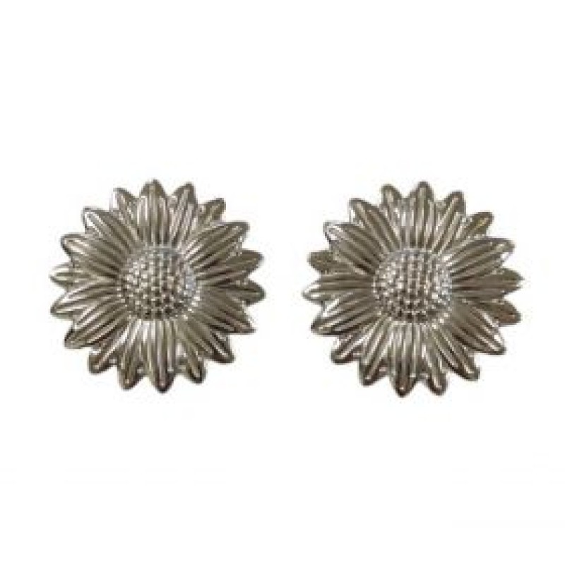 Kostibas 3013-625AG, Σκουλαρίκια, Ατσάλι, Ασημί