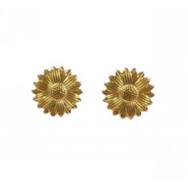 Kostibas 3013-625XC, Σκουλαρίκια, Ατσάλι, Χρυσό