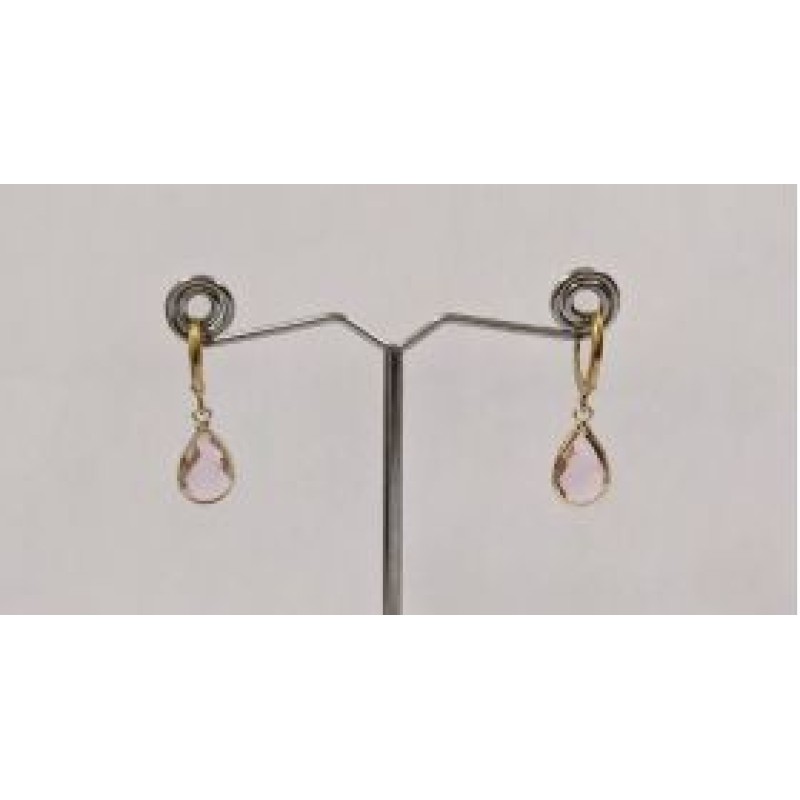 Kostibas 3113-717XR, Σκουλαρίκια Κρίκοι, Ατσάλι, Χρυσό/Ροζ