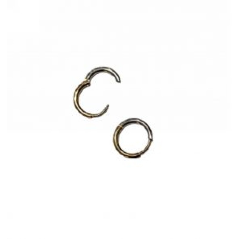 Kostibas 3113-629OB, Σκουλαρίκια Κρίκοι, Ατσάλι, Χρυσό/Ασημί