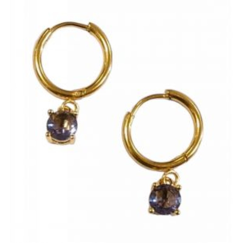 Kostibas 3113-773XJ, Σκουλαρίκια Κρίκοι, Ατσάλι, Χρυσό/Μωβ