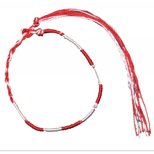 Kostibas 1539-510, Σχοινί, Μάρτης 