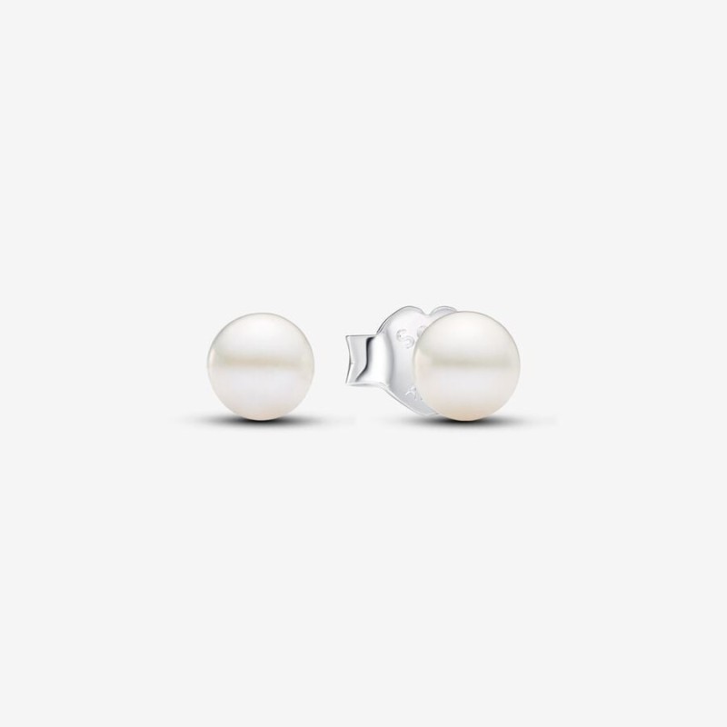 Pandora Timeless 293168C01, Σκουλαρίκια, Ασήμι, Πέρλα