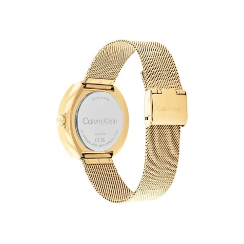 WATCH CALVIN KLEIN WOMEN 25200339 (38,5CM)
