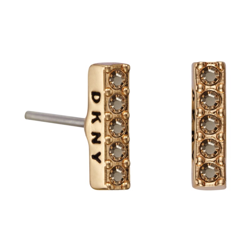 EARRINGS DKNY WOMAN 5520081 (1CM )