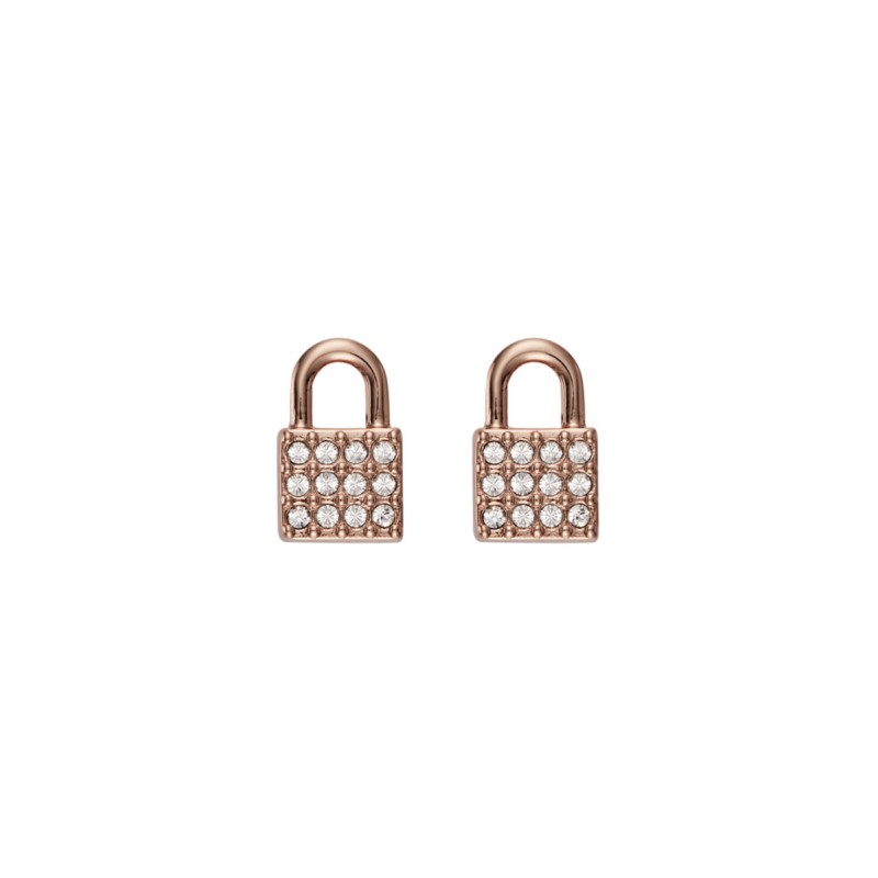EARRINGS DKNY WOMAN 5520121 (1CM )