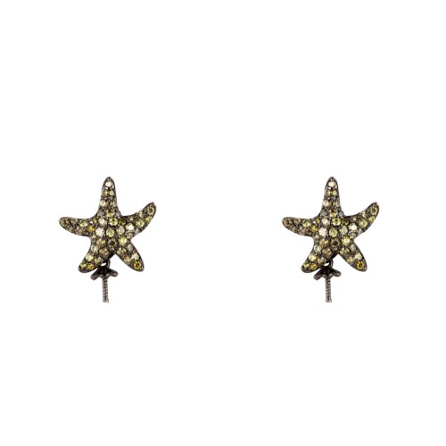 PENDING LANCASTER WOMAN JLA-EAR-STAR3 (1,2MM )