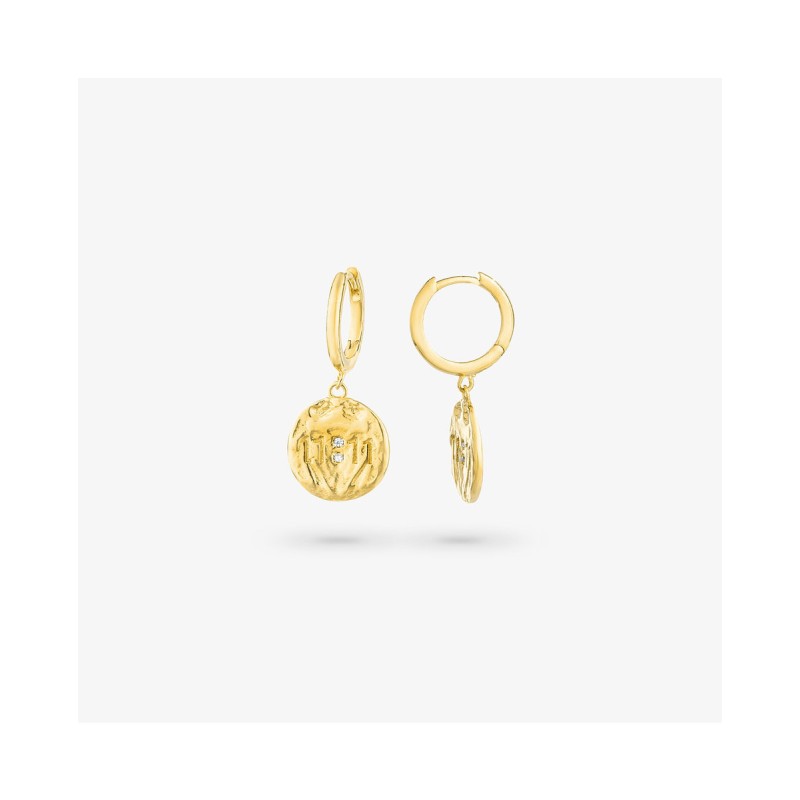 EARRINGS RADIANT WOMEN RY000047 (1,5CM )