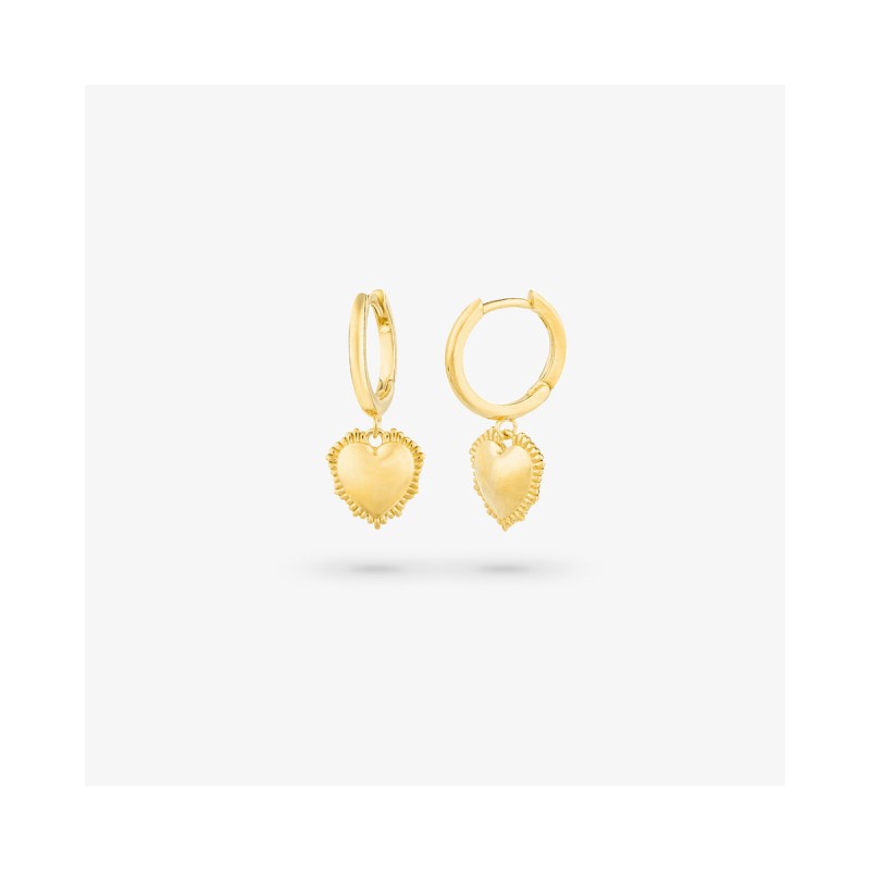 EARRINGS RADIANT WOMEN RY000056 (2,5CM )