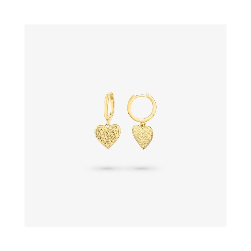 EARRINGS RADIANT WOMEN RY000107 (2CM )