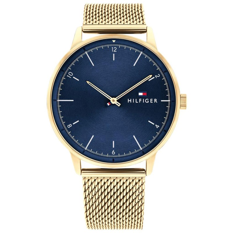WATCH TOMMY HILFIGER MAN 1791877 (43MM)