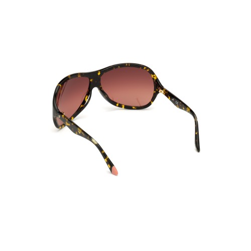 SUNGLASSES WEB EYEWEAR WOMAN WE0290-6552F (Lens/Bridge/Temple) 65/12/115 mm)
