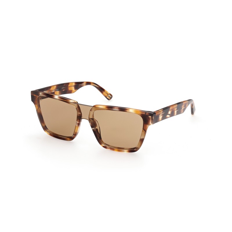 SUNGLASSES WEB EYEWEAR MAN WE0314-0041F (Lens/Bridge/Temple) 00/0/145 mm)