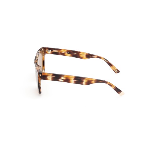 SUNGLASSES WEB EYEWEAR MAN WE0314-0041F (Lens/Bridge/Temple) 00/0/145 mm)