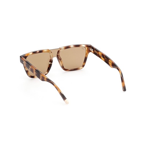 SUNGLASSES WEB EYEWEAR MAN WE0314-0041F (Lens/Bridge/Temple) 00/0/145 mm)