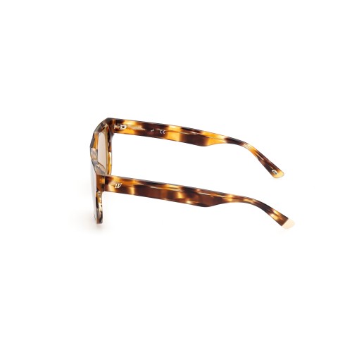 SUNGLASSES WEB EYEWEAR MAN WE0315-0041F (Lens/Bridge/Temple) 00/0/145 mm)