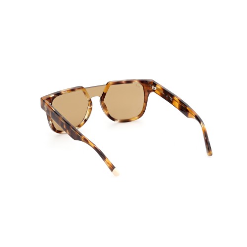 SUNGLASSES WEB EYEWEAR MAN WE0315-0041F (Lens/Bridge/Temple) 00/0/145 mm)